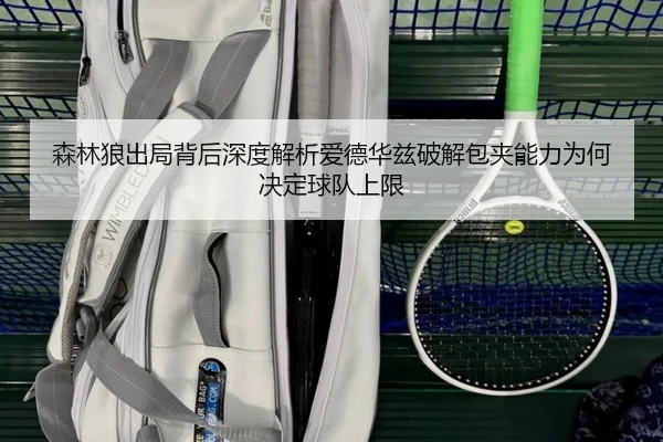 sen-lin-lang-chu-ju-bei-hou-shen-du-jie-xi-ai-de-hua-zi-po-jie-bao-jia-neng-li-wei-he-jue-ding-qiu-dui-shang-xian-2-582.jpg